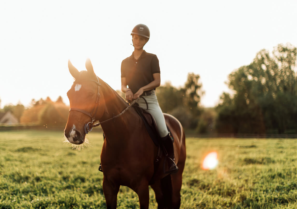 Reittraining & Ausbildung